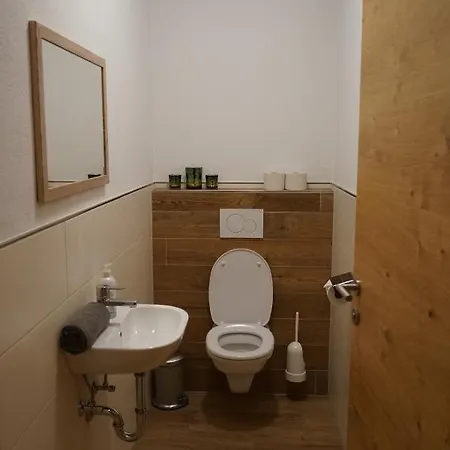 Bergfink Daire Flachau